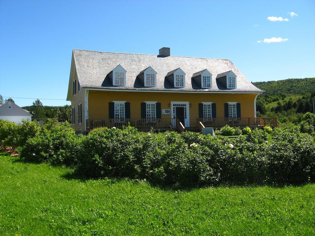 Motel Le Noroit L'Anse-au-Griffon Luaran gambar